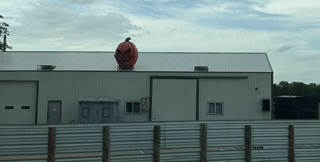 Tiny pumpkin spotted along the way