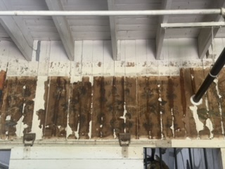 Original Wild West Show poster remnants