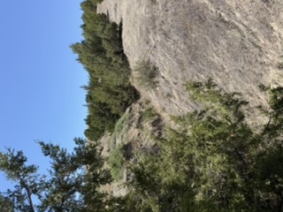 Looking across the wagon trail swath