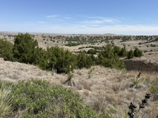 The trail corridor from the overlook