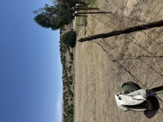 Boots hanging upside down on a fence post