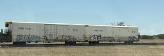 Colorful graffiti on train cars