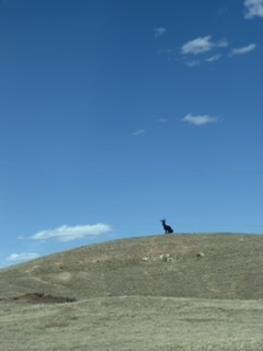 The North Platte River