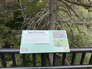 Magpie identification sign