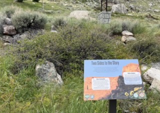 Steep canyon terrain
