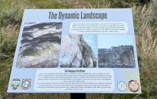 Interpretive sign along the trail