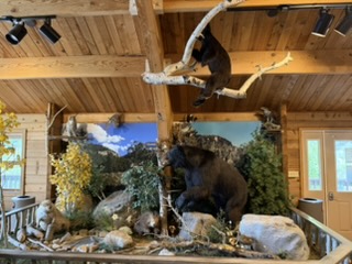 Bird display in the visitor center