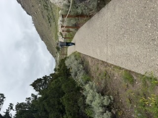 Trail on the rise side of the highway