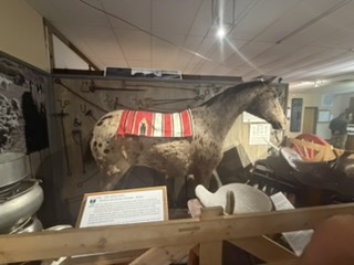 OK the Appaloosa