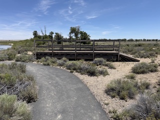 Seedskadee wildlife area along the Green River