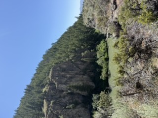 Soda Springs Oregon Trail marker