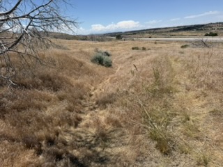 Trail along the Snake River in Idaho