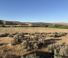 Dry landscape near Three Island Crossing before irrigation