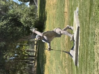 Fort Boise grounds in Parma Idaho