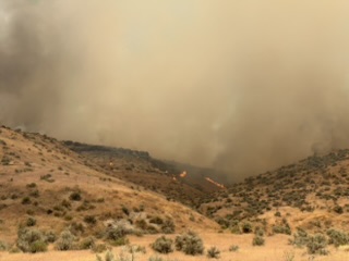 Burnt grasses near Vale Oregon