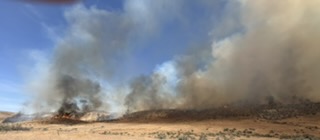 Wildfire smoke near Vale Oregon