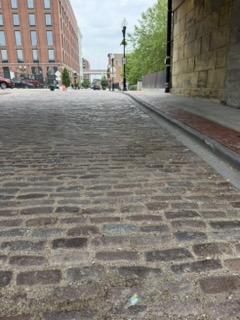 Walking through the park toward the Arch