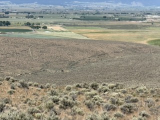 Walking along Oregon Trail ruts near Baker City