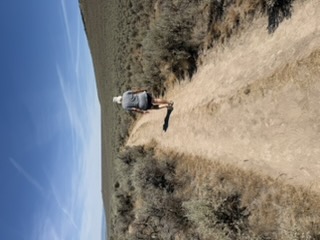 Landscape around the Oregon Trail ruts near Baker City