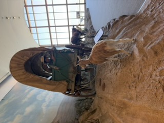 Animal display at the Oregon Trail Interpretive Center