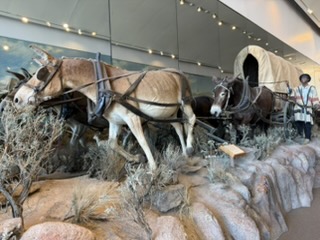Taxidermy display reflected at the Oregon Trail Interpretive Center