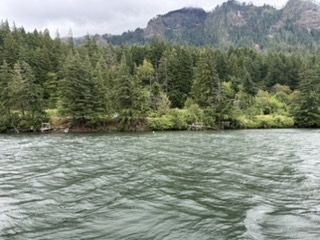 Treaty Indian sturgeon fishing platform on the Columbia River