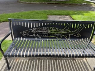 Bronze salmon sculpture at the fish hatchery
