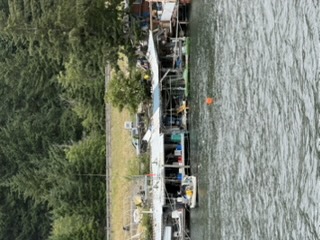 Sturgeon fishing structure above Bonneville Dam