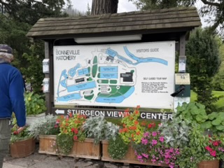 Fish hatchery entrance on the Columbia River