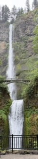 Stream habitat protection sign at Multnomah Falls