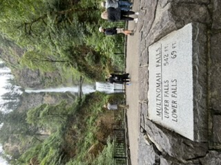 View of Multnomah Falls from the trail