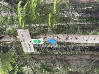 Trail markers at Barlow Pass near Mt Hood