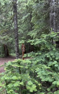 Oregon Trail sign tucked in the trees on Barlow Road
