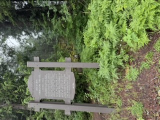 Historic Oregon Trail Laurel Hill marker on the Barlow Road