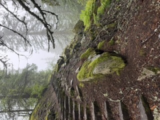 Steps at Laurel Hill where wagons were lowered on the Barlow Road