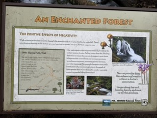 Negative ions sign at Little Zigzag Falls