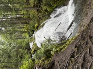 Forest trail to Little Zigzag Falls