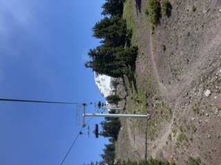 Alpine scenery from the ski lift at Mt Hood