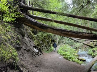 Waterfall on the Little Zigzag trail