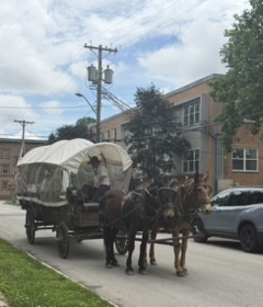 Prairie Schooner horse-drawn wagon tour group in Independence