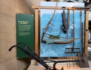 Single-blade plow used by homesteaders